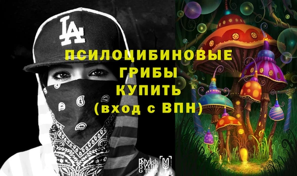стаф Балабаново