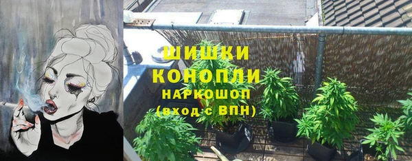 эйфоретик Няндома