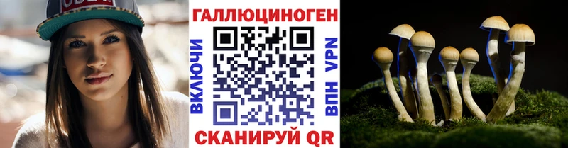 Галлюциногенные грибы Psilocybe  Черняховск 